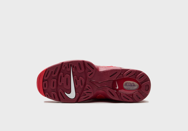 Nike Air DT Max 96 - University Red / White / Red Crush