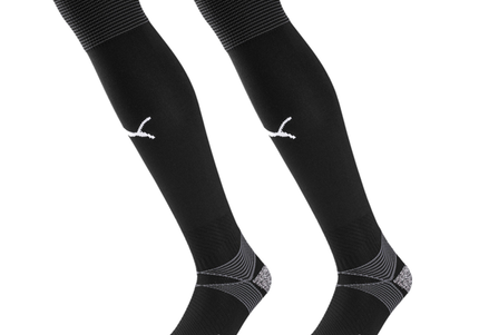 Puma Team Liga Socks (Black)